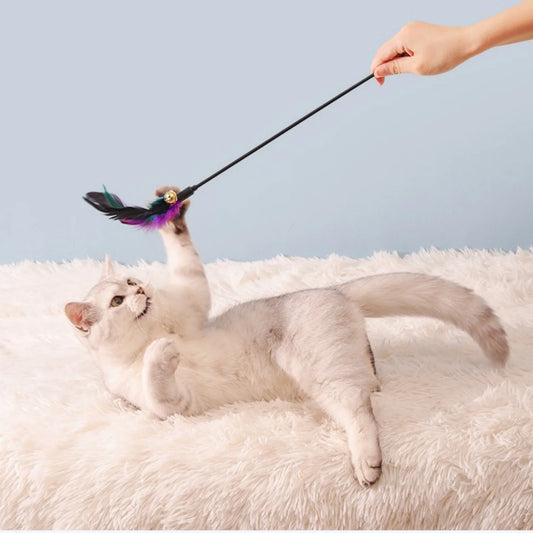 Cat teaser wand, long stick, colorful feathers, bite-resistant, interactive cat toy, self-entertaining device for teasing and tr