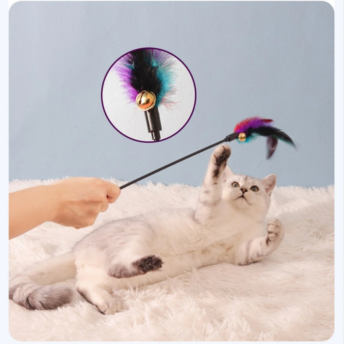 Cat teaser wand, long stick, colorful feathers, bite-resistant, interactive cat toy, self-entertaining device for teasing and tr