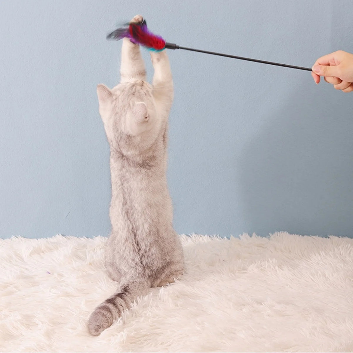 Cat teaser wand, long stick, colorful feathers, bite-resistant, interactive cat toy, self-entertaining device for teasing and tr